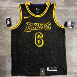 Camiseta número 6 de LeBron James pelos Los Angeles Lakers, temporada 2023-2024